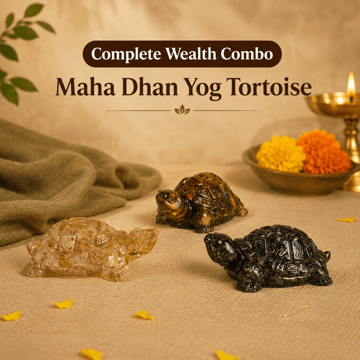Wealth-Attracting Tortoise Set