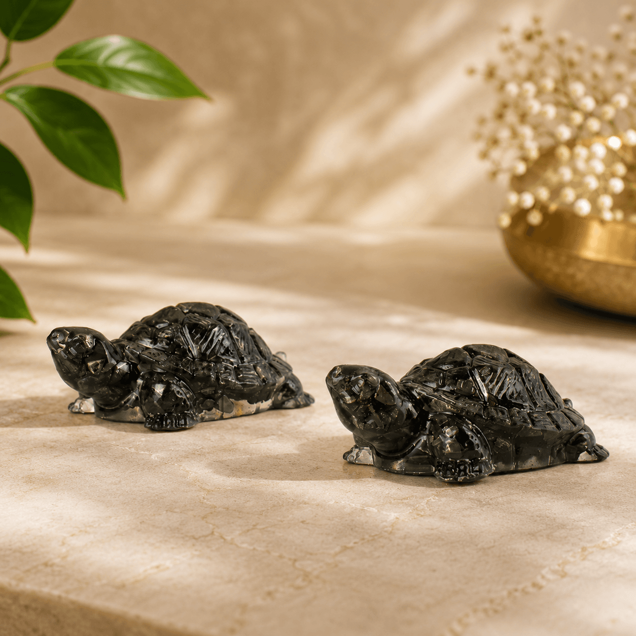 Harmonious Pyrite Tortoise Pair for Vastu