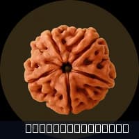 Rudraksha