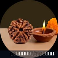 Siddh Rudraksha